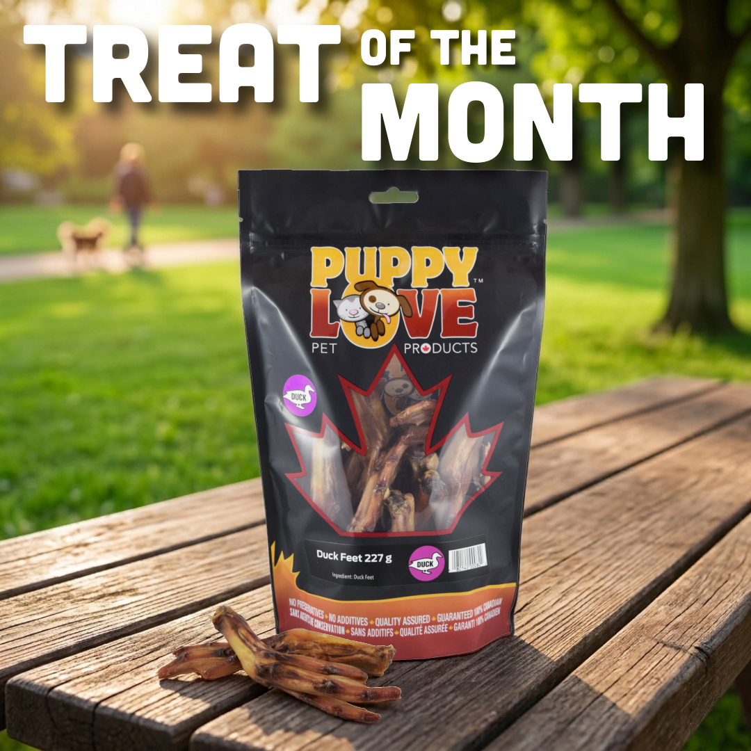 Treat of the Month